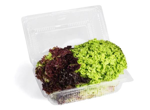 Piros Zöld Saláta Műanyag Tartály Fehér Háttér — Stock Fotó