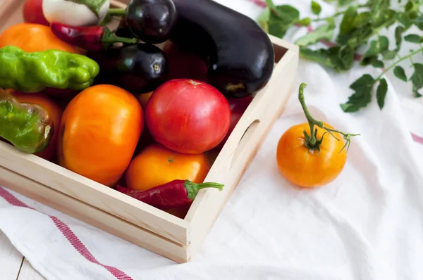 Taze sebze, domates, biber, patlıcan, biber biber açık havada mezarda. Sebze arka plan.