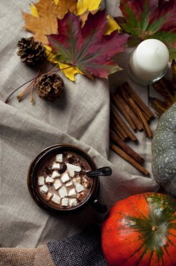 Sıcak kakao hatmi, tarçın ve kabak. Sonbahar fudfoto, yaşam tarzı, sıcak lezzetli sonbahar içecek
