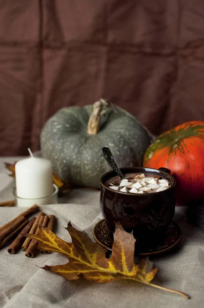 Hot cocoa with marshmallow, cinnamon and pumpkin. Autumn fudfoto, lifestyle, hot delicious autumn drink — Stock Photo, Image