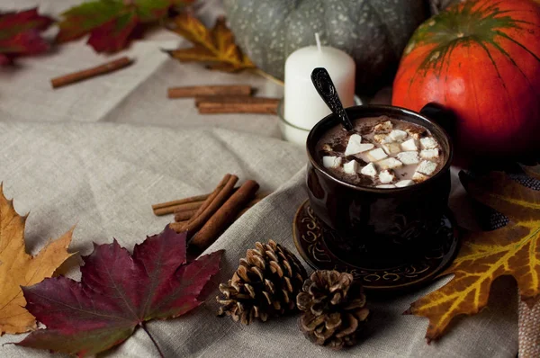 Hot cocoa with marshmallow, cinnamon and pumpkin. Autumn fudfoto, lifestyle, hot delicious autumn drink — Stock Photo, Image