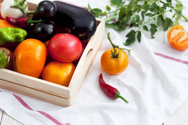 Taze sebze, domates, biber, patlıcan, biber biber açık havada mezarda. Sebze arka plan.