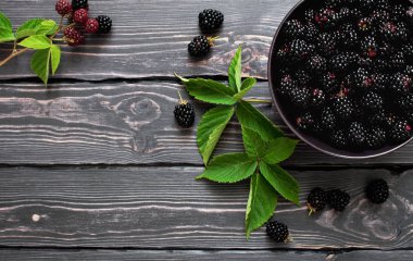 Kopya alanı karanlık bir rustik ahşap zemin üzerine bir kase taze böğürtlen. Berry, vitaminler, gıda arka plan