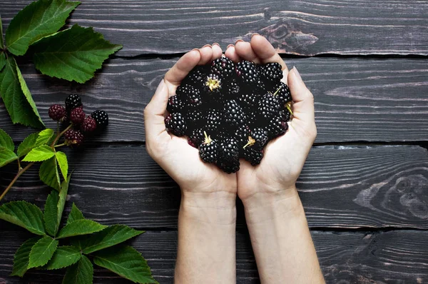 Blackberry Женских Руках Темном Ржавом Деревянном Фоне Сверху Ягоды Витамины — стоковое фото