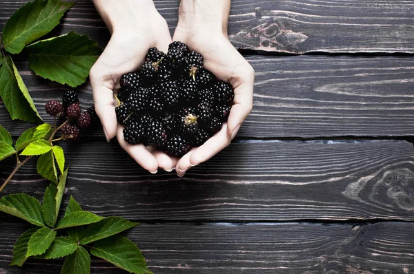 Blackberry Female Hands Dark Rustic Wooden Background Top View Berry — Stock Photo, Image