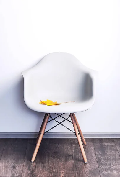 Designer plastic chair on a white wall background. Autumn leaf of a maple on a chair. Object in the interior