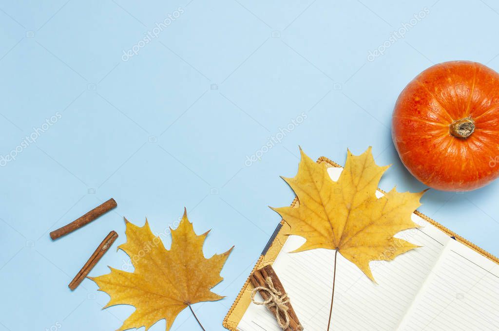 Opened notebook, orange pumpkin, cinnamon, yellow autumn maple leaf on blue background top view flat lay. Concept of study, working table halloween. Space for text