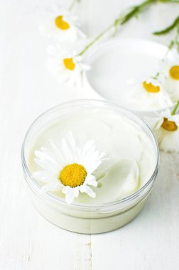 Plastik Konteyner ile hafif bir arka plan üzerinde krem ve papatya çiçek açtı. Bitkisel Dermatoloji kozmetik hijyenik krem Spa konsept organik kozmetik doğal güzellik ürünü