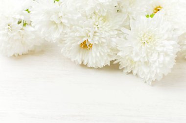 Beyaz ahşap arka plan kopya alanı üzerinde beyaz sonbahar kasımpatı çiçekleri. Krizantem duvar kağıdı. Çiçek arka plan sonbahar buket yaşam tarzı