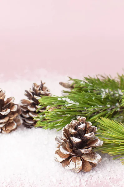 圣诞节的背景 绿色的松树树枝 在雪白的粉红色背景上装饰着雪的圆锥 创意构图与边框和复制空间设计 圣诞装饰 — 图库照片