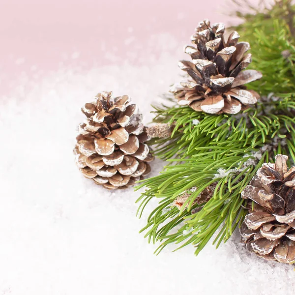 圣诞节的背景 绿色的松树树枝 在雪白的粉红色背景上装饰着雪的圆锥 创意构图与边框和复制空间设计 圣诞装饰 — 图库照片