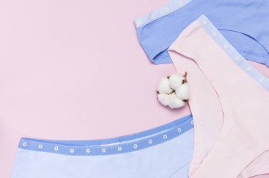 Kadın pastel pamuk külot ayarla ve pamuk çiçek pembe arka plan en iyi görünüm düz metin için kopya yer ile yatıyordu. Moda blog, doğal renkli kadın iç çamaşırı, reklam kavramı alışveriş.