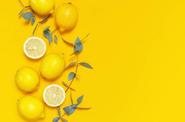 Olgun sulu limon ve parlak sarı zemin üzerine yeşil okaliptüs twigs. Limon meyve narenciye en az kavramı. Yaratıcı yaz yiyecek minimalist arka plan. Düz yatıyordu, en iyi görünüm, kopya alanı