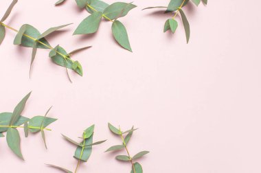 Okaliptüs şube pastel pembe bir arka plan üzerinde çerçeve yaptı. Yat, görünümü, kopya alanı top. Çiçek arka plan, kompozisyon, yeşil Okaliptüs yaprakları çiçekler, yukarı alay