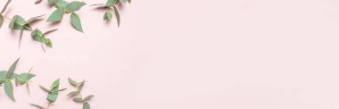 Okaliptüs şube pastel pembe bir arka plan üzerinde çerçeve yaptı. Yat, görünümü, kopya alanı top. Çiçek arka plan, kompozisyon, yeşil Okaliptüs yaprakları çiçekler, yukarı alay