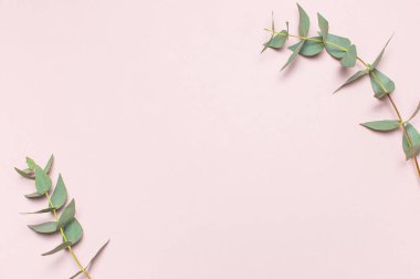 Okaliptüs pastel pembe çırpı. Yat, görünümü, kopya alanı top. Çiçek arka plan, kompozisyon, yeşil okaliptüs yaprakları çiçekler, yukarı alay
