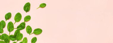 Pembe arka plan düz taze yeşil ıspanak yaprakları üstten görünüm kopya alanı yatıyordu. Yaratıcı yiyecekler kavramı. Salata için madde. Sebze tasarım. Sağlıklı yaşam tarzı