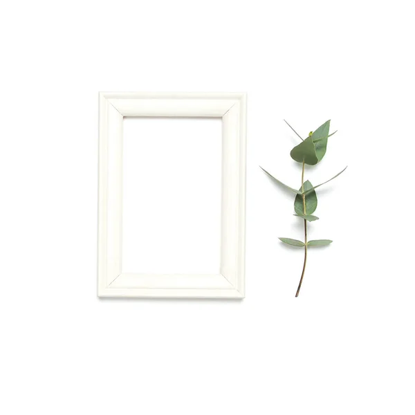 Białe Drewniane Zdjęcie Ramki Zielony Eukaliptusa Liści Białym Tle Widok — Zdjęcie stockowe