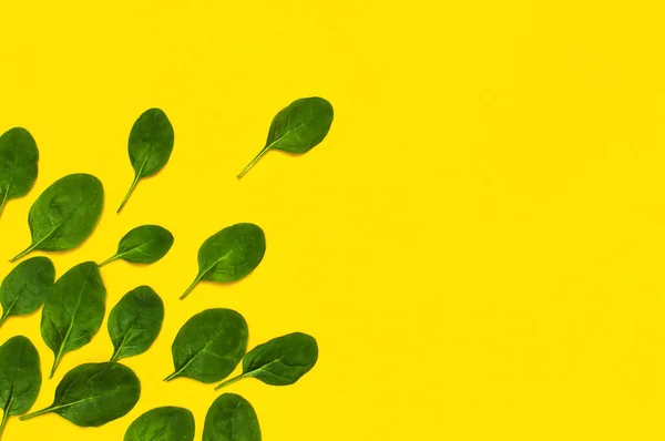 Fresh green spinach leaves on bright yellow background flat lay top view copy space. Baby young spinach leaves, Ingredient for salad, healthy food, diet. Nutrition concept. Creative food concept.