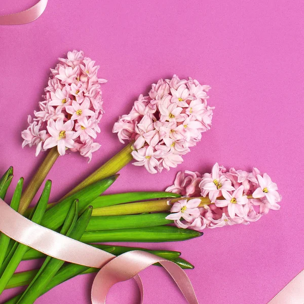 Spring pink bouquet hyacinth with festive ribbon on bright pink background top view Flat lay. Pink Hyacinth flower, greeting card. Flower symbol of early spring. Flowers composition, congratulation