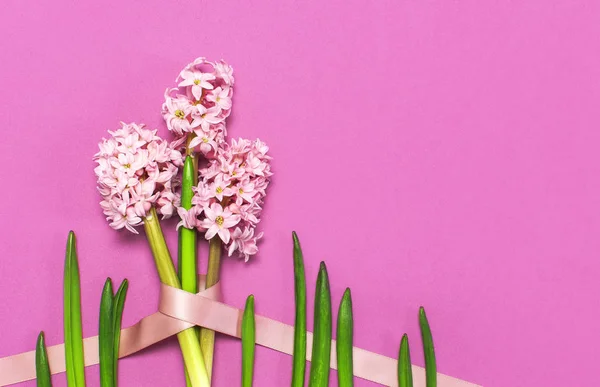 Spring pink bouquet hyacinth with festive ribbon on bright pink background top view Flat lay. Pink Hyacinth flower, greeting card. Flower symbol of early spring. Flowers composition, congratulation