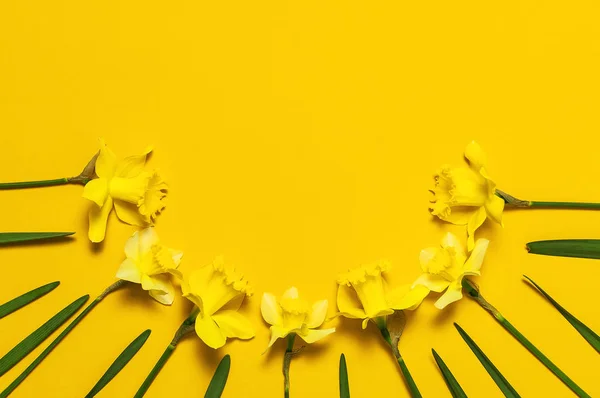 Frühling blumigen Hintergrund. Gelbe Narzissen oder Narzissenblüten auf gelbem Hintergrund von oben flach aufgelegt. Osterkonzept, internationaler Frauentag, 8. März, Feiertag. Karte mit Blumen. Platz für Text — Stockfoto