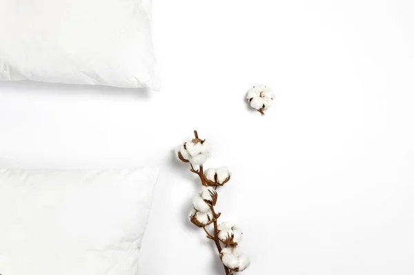 Miękkie białe pikowane poduszki i oddział bawełny na jasne tło widok z góry. Czyste poduszkę, element wnętrza, pościel makieta szablon projektu — Zdjęcie stockowe