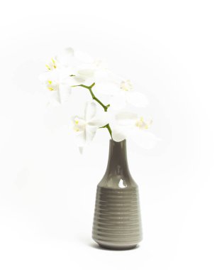 Beyaz arka planda gri vazoda güzel beyaz Phalaenopsis orkide çiçekler. Tropikal çiçek, dal orkide kapatın. Beyaz Orkide arka plan. Tatil, kadınlar günü, çiçek kartı düz yatıyordu