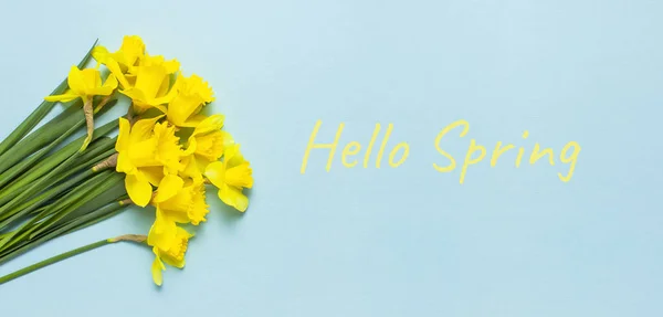 Jarní květinové pozadí. Žlutý Narcis nebo Narcis květin na modrém pozadí horní zobrazit plochý lay. Koncepce, Mezinárodní den žen, 8 březen, Velikonoce. Karta s květinami. Místo pro text — Stock fotografie