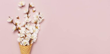 Gözleme koni ile buket bahar dalları pastel pembe bir arka plan üzerinde beyaz çiçek çiçeklenme. Yaratıcı bahar en az kavramı. Düz yatıyordu üstten görünüm kopya alanı.