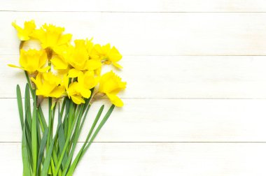 Bahar çiçekli arka plan. Sarı Narcissus veya nergis çiçekler Beyaz ahşap arka plan üst görünüm düz yatıyordu. Paskalya kavramı, uluslararası kadın günü, 8 Mart, tatil. Çiçek kopya alanı ile kart
