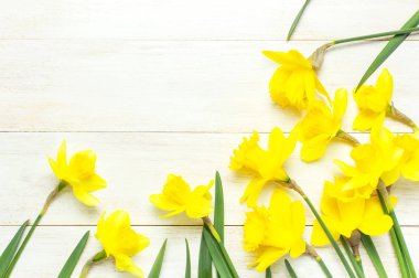 Bahar çiçekli arka plan. Beyaz ahşap arka plan üst görünümü düz yatıyordu Narcissus veya nergis çiçekler çerçevesi. Paskalya kavramı, uluslararası kadın günü, 8 Mart, tatil. Çiçek kopya alanı ile kart