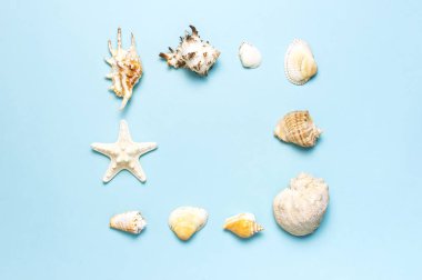 Yaz konsepti, deniz geçmişi. Pastel mavi arka plan üzerinde farklı deniz kabukları ve denizyıldızı Çerçeve. Üst görünüm, düz döşeme, kopyalama alanı. Deniz yaz tatili arka plan. Seyahat, deniz hatırası
