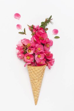Hafif arka planda pembe bahar çiçekleri buketi ile Waffle konisi. Yaratıcı bahar minimal kavramı. Düz lay üst görünüm kopyalama alanı. İlkbahar veya yaz ruh hali kavramı