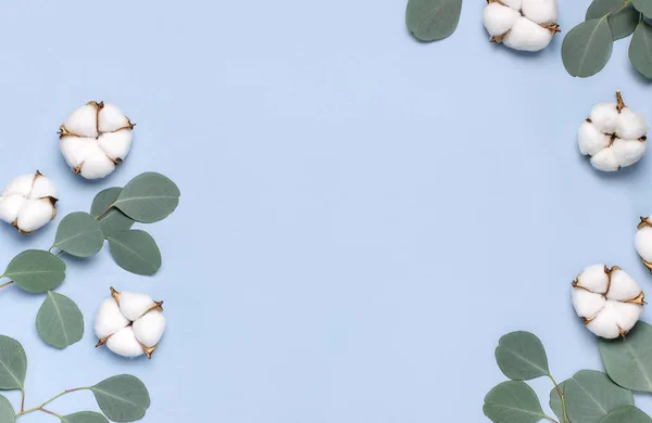 Marco hecho de flores de algodón y ramitas de eucalipto fresco sobre fondo azul claro. Composición de flores planas. Vista superior, espacio de copia. Delicadas flores de algodón blanco. Fondo floral, tarjeta de felicitación — Foto de Stock