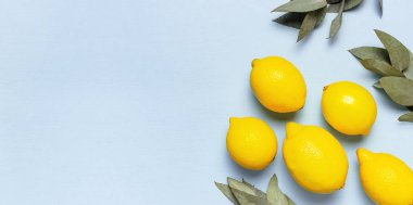 Olgun sulu limonlar, pastel mavi arka plan okaliptüs dalları. Limon meyve, narenciye minimal kavram, C vitamini. Düz döşeme, üst görünüm, kopyalama alanı.