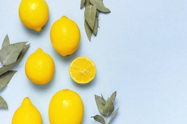 Olgun sulu limonlar, pastel mavi arka plan okaliptüs dalları. Limon meyve, narenciye minimal kavram, C vitamini. Düz döşeme, üst görünüm, kopyalama alanı.