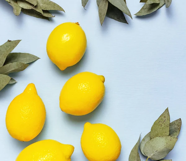 Olgun sulu limonlar, pastel mavi arka plan okaliptüs dalları. Limon meyve, narenciye minimal kavram, C vitamini. Düz döşeme, üst görünüm, kopyalama alanı.
