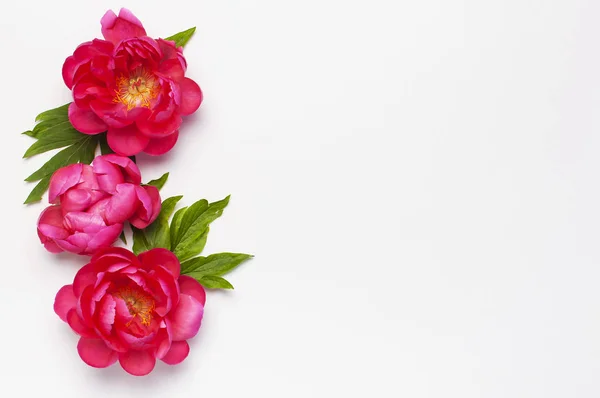 花の組成。ライトグレーの背景に美しいピンクの赤いピオと緑の葉。トップビュー フラットレイコピースペース。ピオニーの花の花束。花のお祝いの背景、グリーティングカード — ストック写真