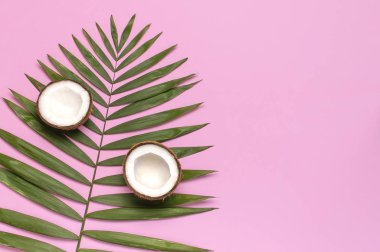 Tropikal yaprakları ve pembe arka plan üzerinde taze hindistan cevizi. Düz döşeme, üst görünüm, kopyalama alanı. Yaz geçmişi, doğa. Sağlıklı yemek pişirme. Yaratıcı sağlıklı gıda kavramı, hindistan cevizi yarısı