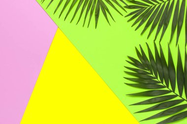 Tropikal palmiye parlak sarı yeşil pembe arka plan üzerinde yaprakları. Düz döşeme, üst görünüm, kopyalama alanı. Yaz geçmişi, doğa. Tropikal yaprakları ile Yaratıcı minimal arka plan. Yaprak deseni