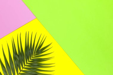 Tropikal palmiye parlak sarı yeşil pembe arka plan üzerinde yaprakları. Düz döşeme, üst görünüm, kopyalama alanı. Yaz geçmişi, doğa. Tropikal yaprakları ile Yaratıcı minimal arka plan. Yaprak deseni