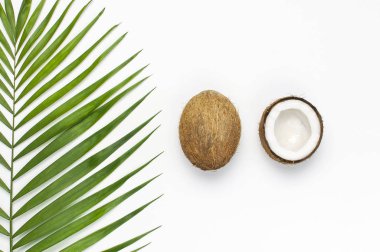 Tropikal yaprakları ve açık gri arka plan üzerinde taze hindistan cevizi. Düz döşeme, üst görünüm, kopyalama alanı. Yaz geçmişi, doğa. Sağlıklı yemek pişirme. Yaratıcı sağlıklı gıda kavramı, hindistan cevizi yarısı