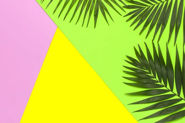 Tropical palm leaves on bright yellow green pink background. Flat lay, top view, copy space. Summer background, nature. Creative minimal background with tropical leaves. Leaf pattern