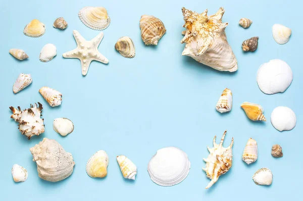 Summer concept, marine background. Frame of different seashells and starfish on pastel blue background. Top view, flat lay, copy space. Sea summer vacation background. Travel, marine souvenir