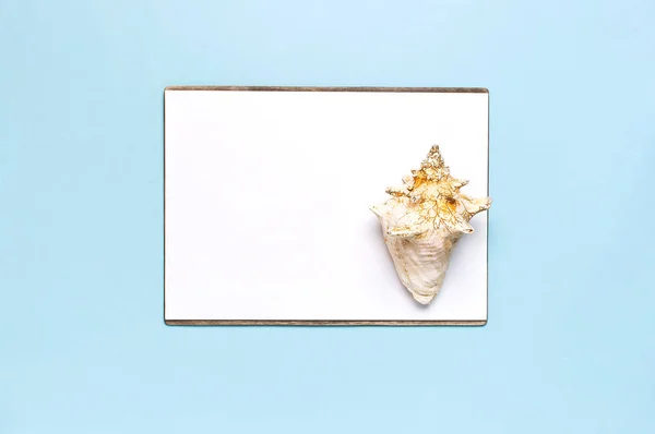 Summer concept, marine background. Seashells, starfish, white blank sheet on pastel blue background. Top view, flat lay, copy space. Sea summer vacation Mockup. Travel marine souvenir