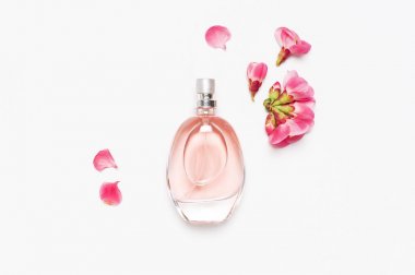 Açık gri arka plan üst görünüm düz pembe bahar çiçekleri ile kadın parfüm Şişe kopya alanı yatıyordu. Parfümeri, kozmetik, kadın aksesuarları, koku koleksiyonu. Narin Pembe Parfüm Şişesi