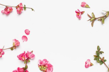 Açık gri arka plan üst görünümü Copy Space pembe bahar çiçekleri. Pembe çiçekli dallar. Yaz buketi yaşam tarzı. Bahar konsepti. Narin çiçekler çiçek arka plan ile tebrik kartı.