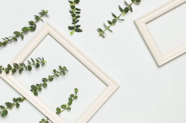 Beyaz ahşap fotoğraf çerçevesi ve gri arka plan üzerinde bitkilerin bahar yeşil dalları. Düz lay üst görünüm kopyalama alanı. Şık minimal kompozisyon, resim maket, resim çerçevesi, ev dekorasyonu