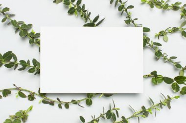 Boş beyaz kağıt ve gri arka plan üst görünüm düz bitkilerin bahar yeşil dalları kopyalama alanı yatıyordu. Dekoratif bitki dalı, rustik arka plan, çiçek kompozisyon mockup Minimalist tarzı